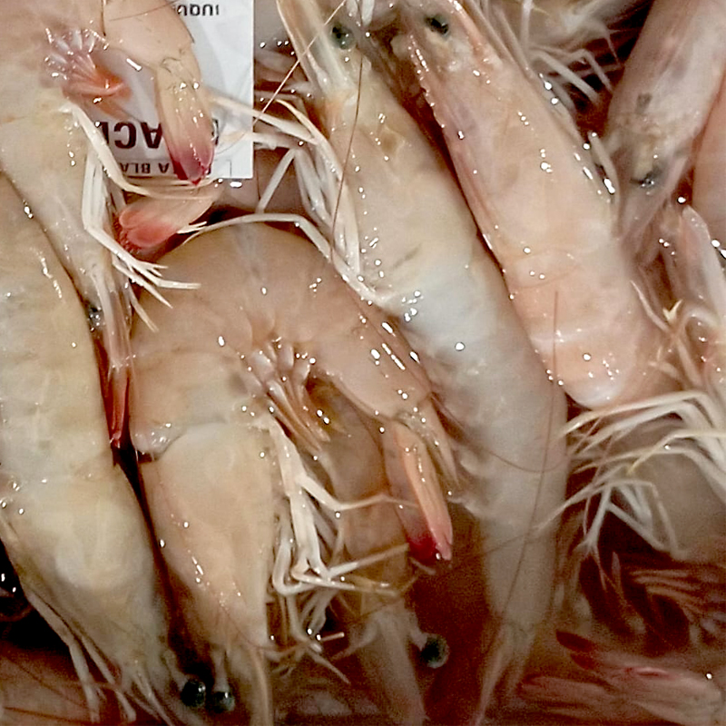 LANGOSTINO CAFE SUPER GRANDE 15-20 pz/kg (2 kg/ca)