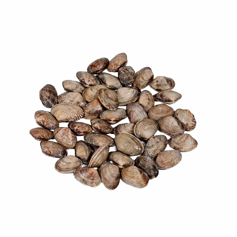 CLOÏSSA JAPONICA IQF (40-60p/kg)0% 6/1Kg