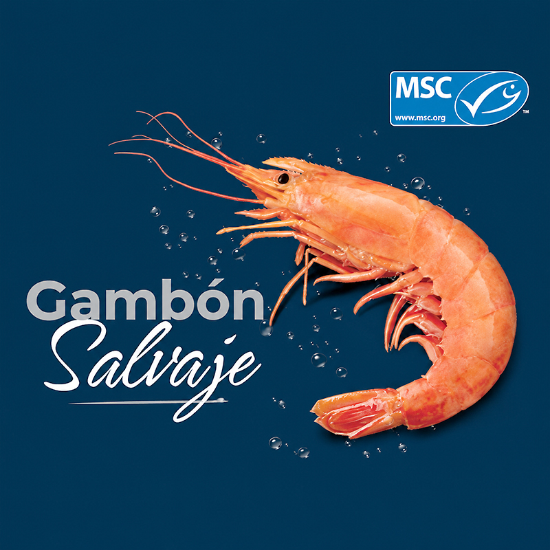 GAMBA ARGENTINA A BORD MSC N3(30-40)6/2Kg
