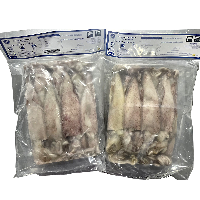 CALAMAR BOSTON (13-15cm) 0% 5/1Kg