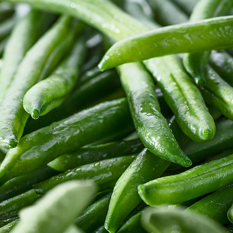 MONGETA MOLT FINA SERVICE 4/2.5Kg