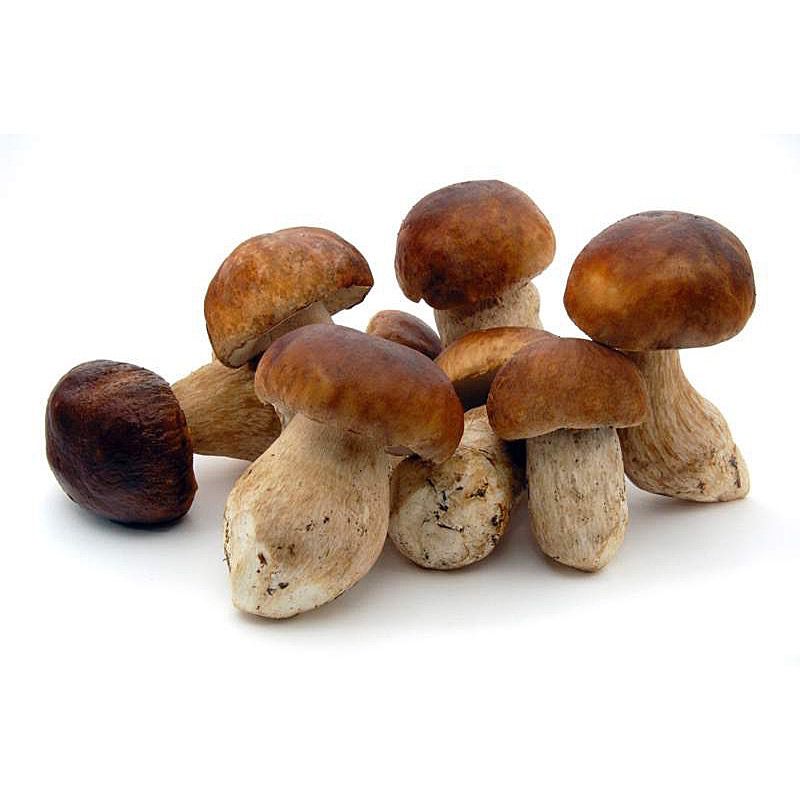 CEP 1ª ENTERO 5/1Kg.