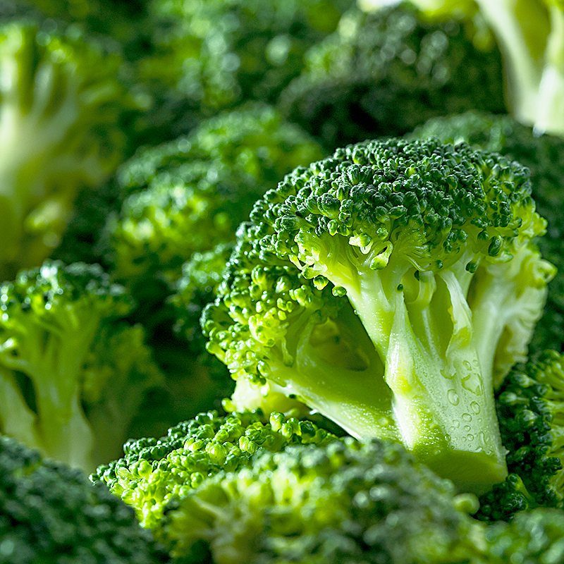 BRÉCOL (BROCOLI) MINUTE 4/2.5Kg.