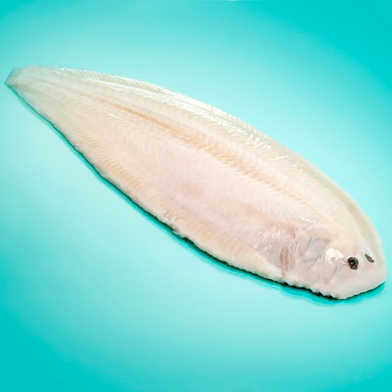 LENGUADO HOL.N3 Premium (300-350)20%5k