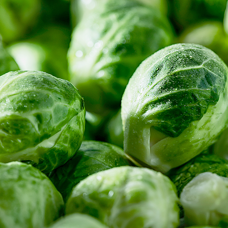 COLS BRUSEL.LES MINUTE 4/2.5Kg