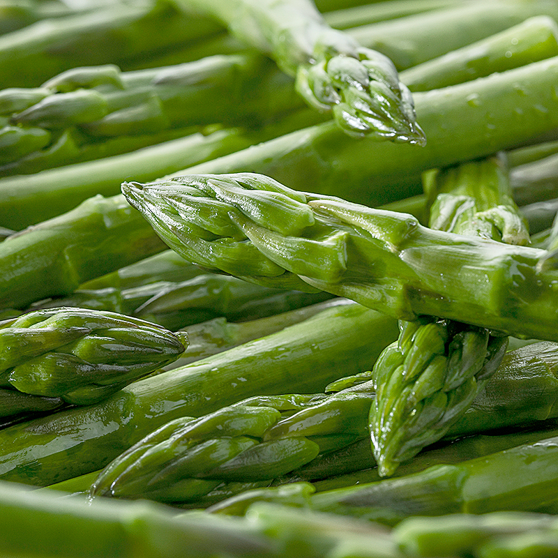 ESPÁRRAGO TRIGUERO 5/1Kg.