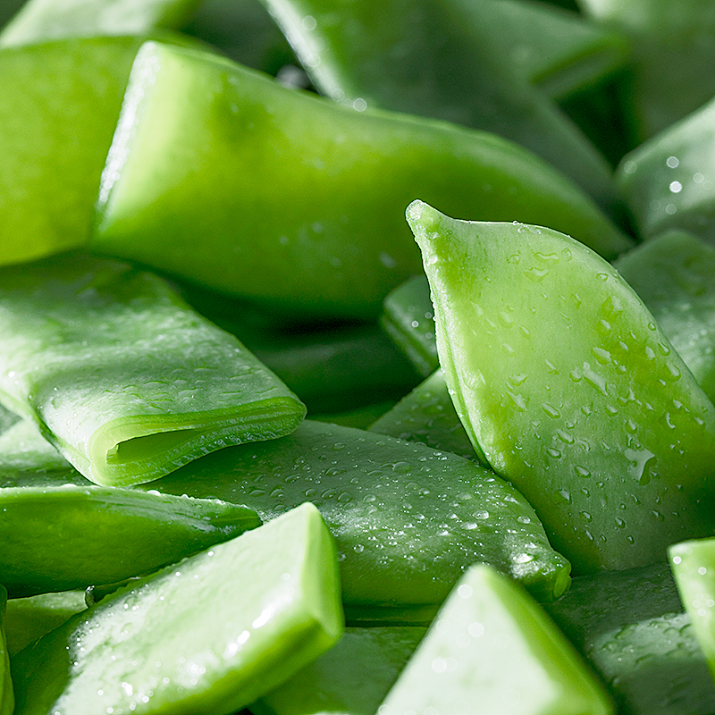 MONGETA PLANA MINUTE 4/2.5Kg