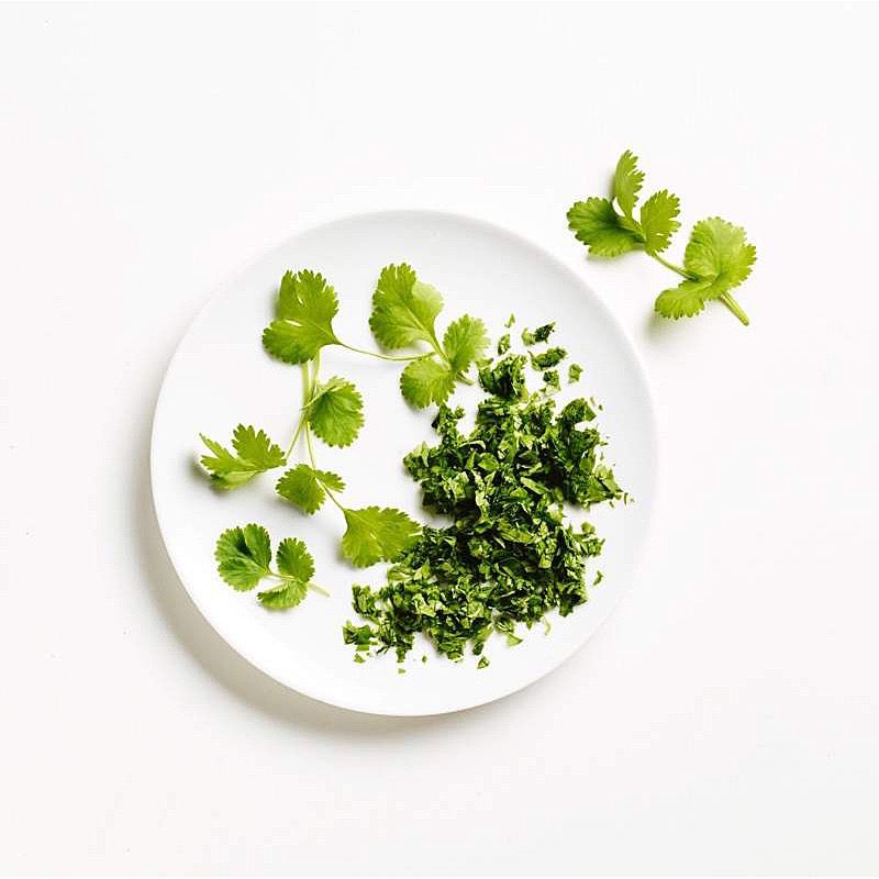 CILANTRO 8/250g.