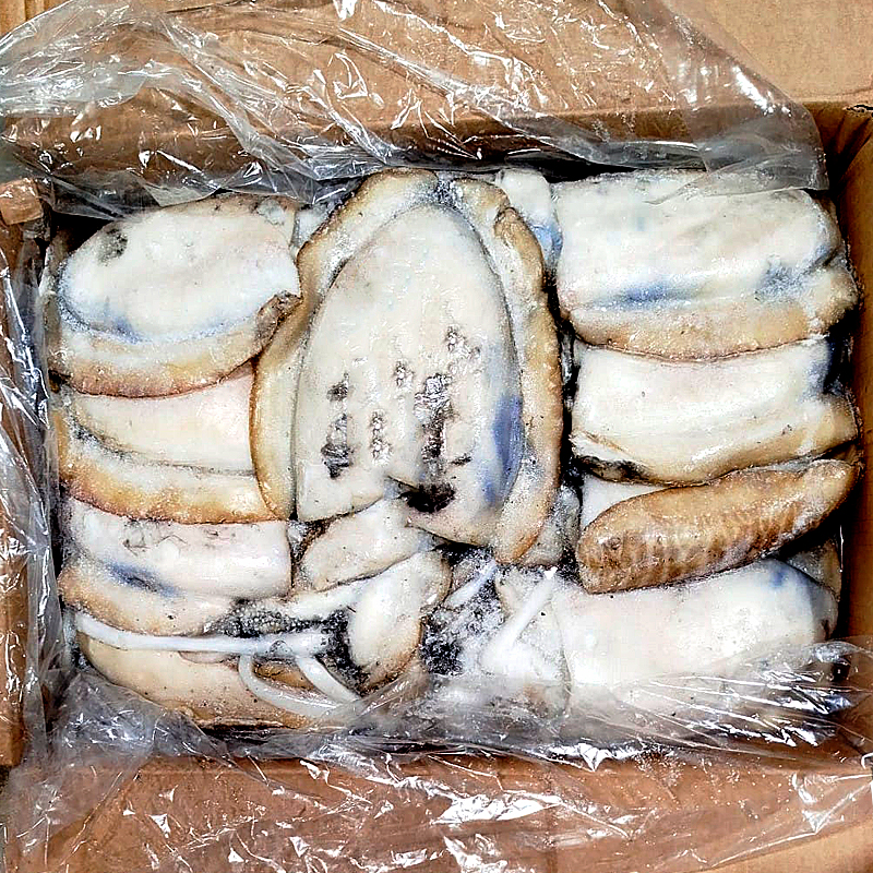 SÍPIA MONGO M5 -S- (1.3-2Kg ) 2/12kg.apx