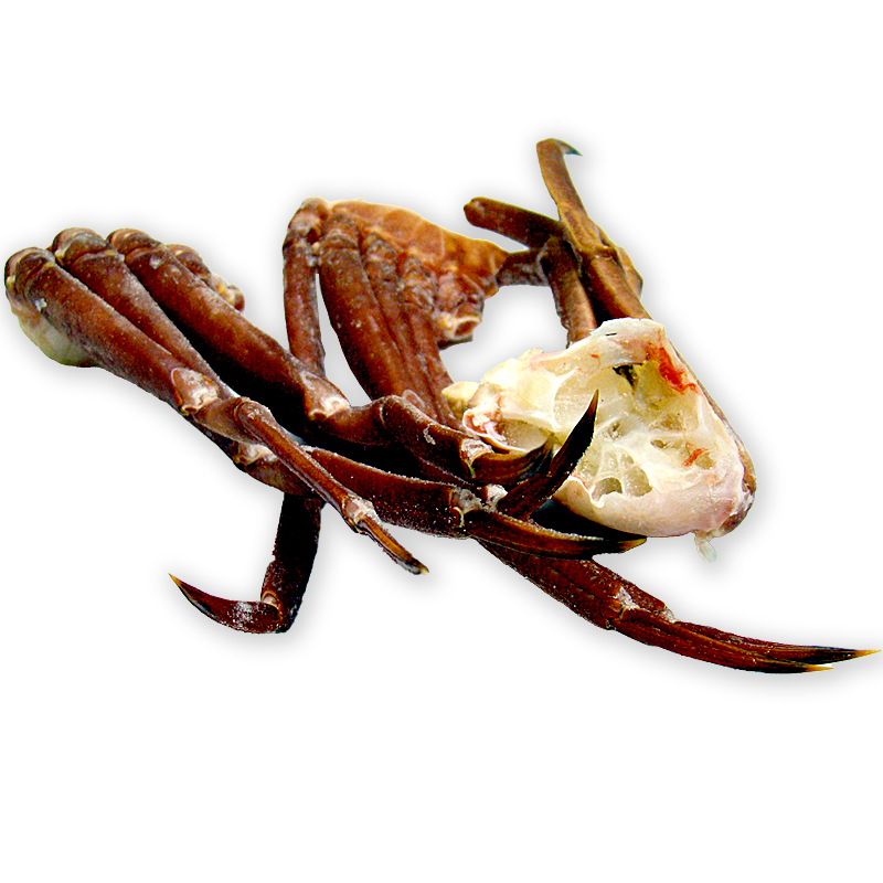 COSSOS N1 Gran Sol(200-300)6/4'5Kg.apx