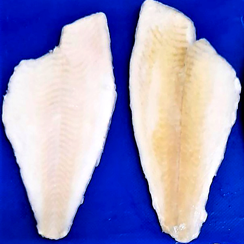 LIMANDA FILETE S/P S/E(80-120) 25% 6/1k