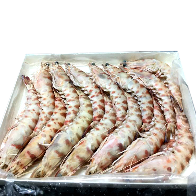 LANGOSTINO TNZ B 41-60 12/800