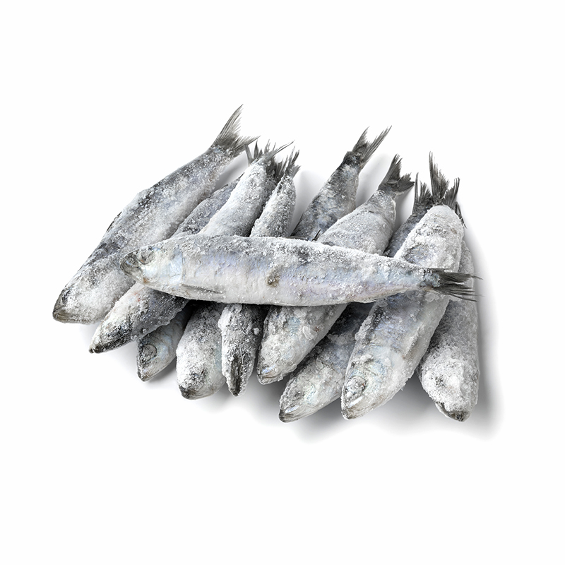 SARDINA ENTERA (7-10P/K)100-140g 10% 6Kg