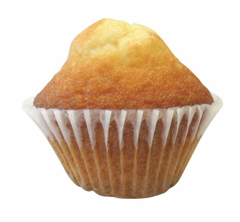 MAGDALENES 10/(10x40g)