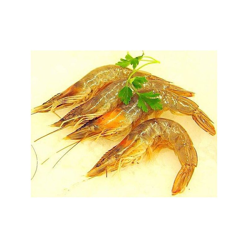 LLANGOSTI CUIT RF.30-40u/kg. (2K/CA)