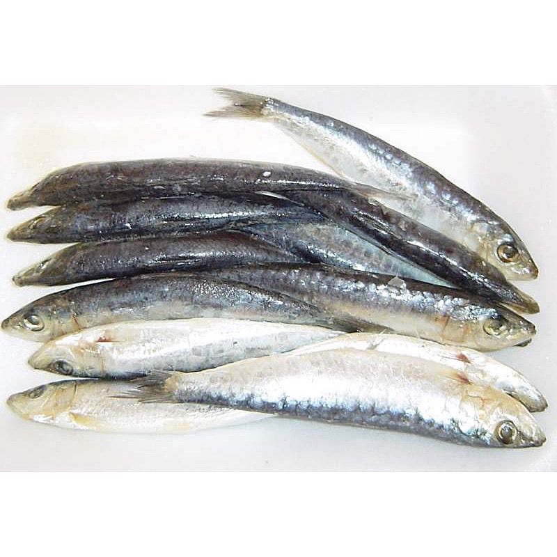 SARDINA COSTA SALADA CAJA 44u. RF.
