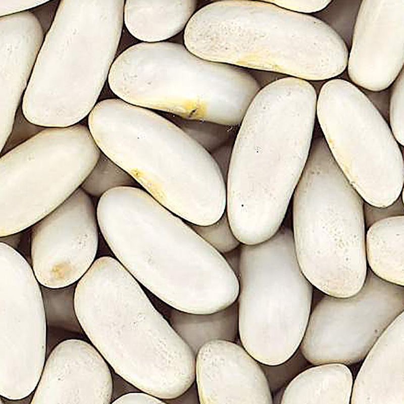 MONGETES CANELLINI BOSSA 4/5Kg