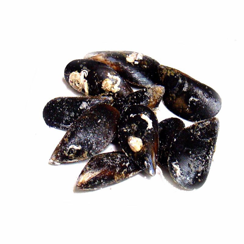 MUSCLO JUGOSÓN-M-Alfrio 10Kg