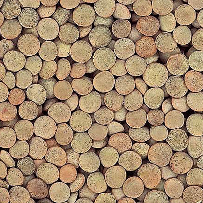 LLENTIA PARDINA BOSSA 4/5 Kg.